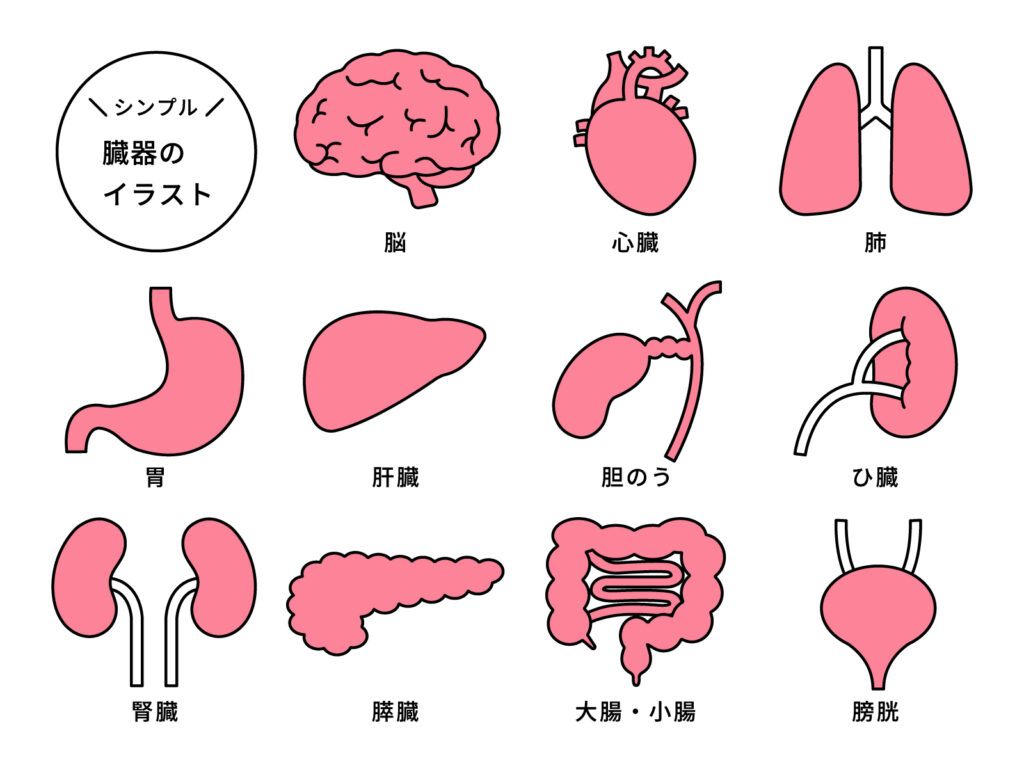 12/3　こんばんは