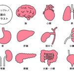 12/3　こんばんは